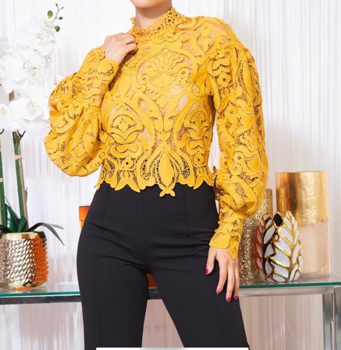 Long sleeves lace blouse