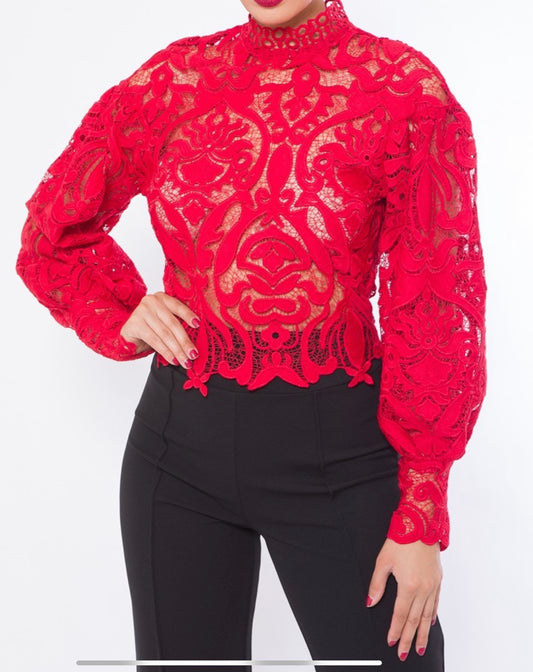 Long sleeves lace blouse